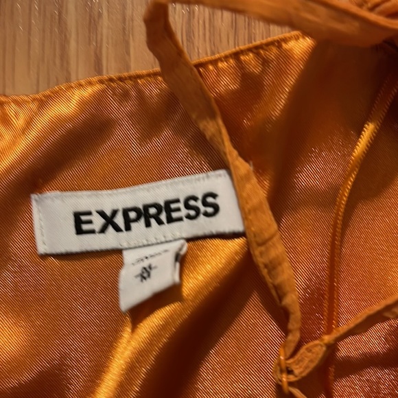 Express Dress - Picture 2 of 3